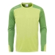 Воротарська кофта Uhlsport TOWER GK SHIRT LS 100561201