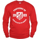 Свитшот Atletico см. другие цвета