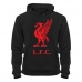 Толстовка Liverpool L.F.C см. другие цвета - фото 2