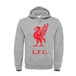 Толстовка Liverpool L.F.C см. другие цвета
